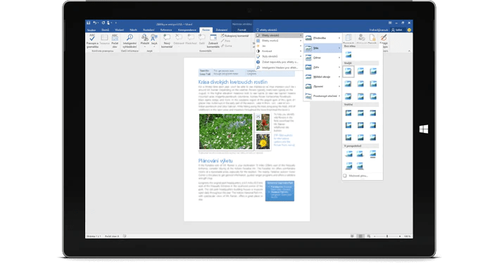 Microsoft Microsoft Office 2019 Home and Business for Mac