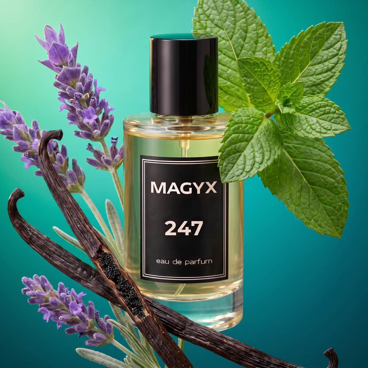 Smells like... Le Male - No. 247
