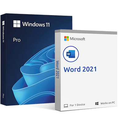 EkSoftware Microsoft Windows 11 Pro + Microsoft Word 2021
