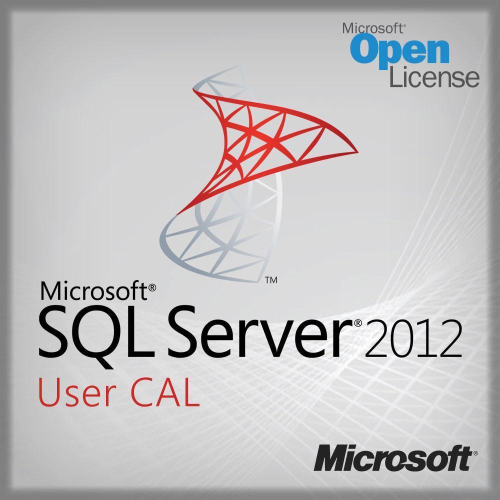 Microsoft Default Microsoft SQL Server 2012 - User CAL license