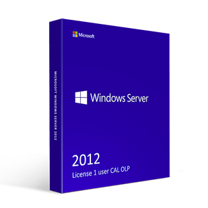 Microsoft Windows Server 2012 License 1 user CAL OLP