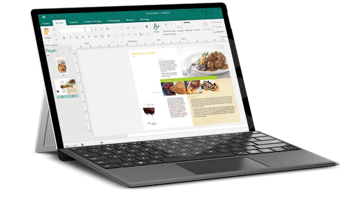 Microsoft Microsoft Office 2019 Professional