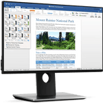 Microsoft Microsoft Office 2019 Professional