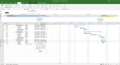 Microsoft Project 2021 Professional