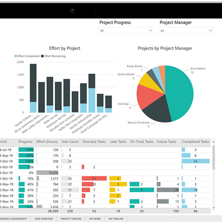 Microsoft Microsoft Project 2021 Professional
