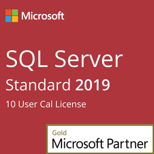 Microsoft SQL Server 2019 Standard + 10 User Cal License