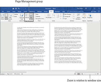 Thumbnail for Microsoft Microsoft Word 2019 for Mac