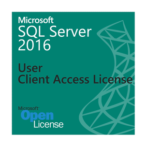 Microsoft SQL Server 2016 Single User CAL - Open Business